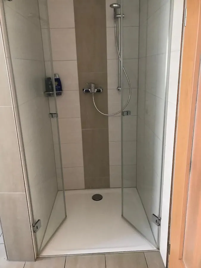 Apartment Unterkunft In Wiesent Fuer Handwerker-/Monteure Berufsreisende